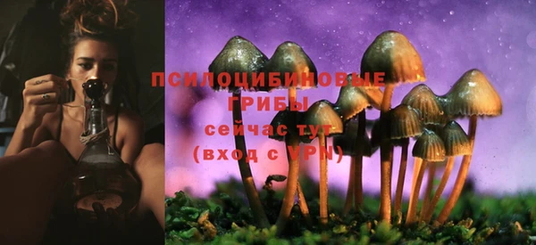 экстази Киреевск