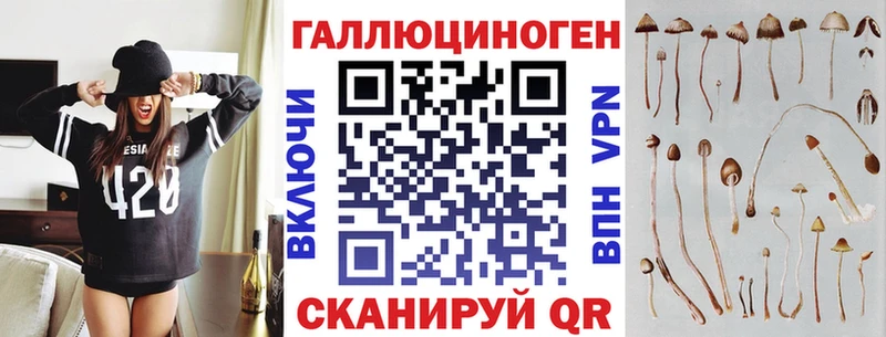 Псилоцибиновые грибы MAGIC MUSHROOMS  Купить  Жиздра 
